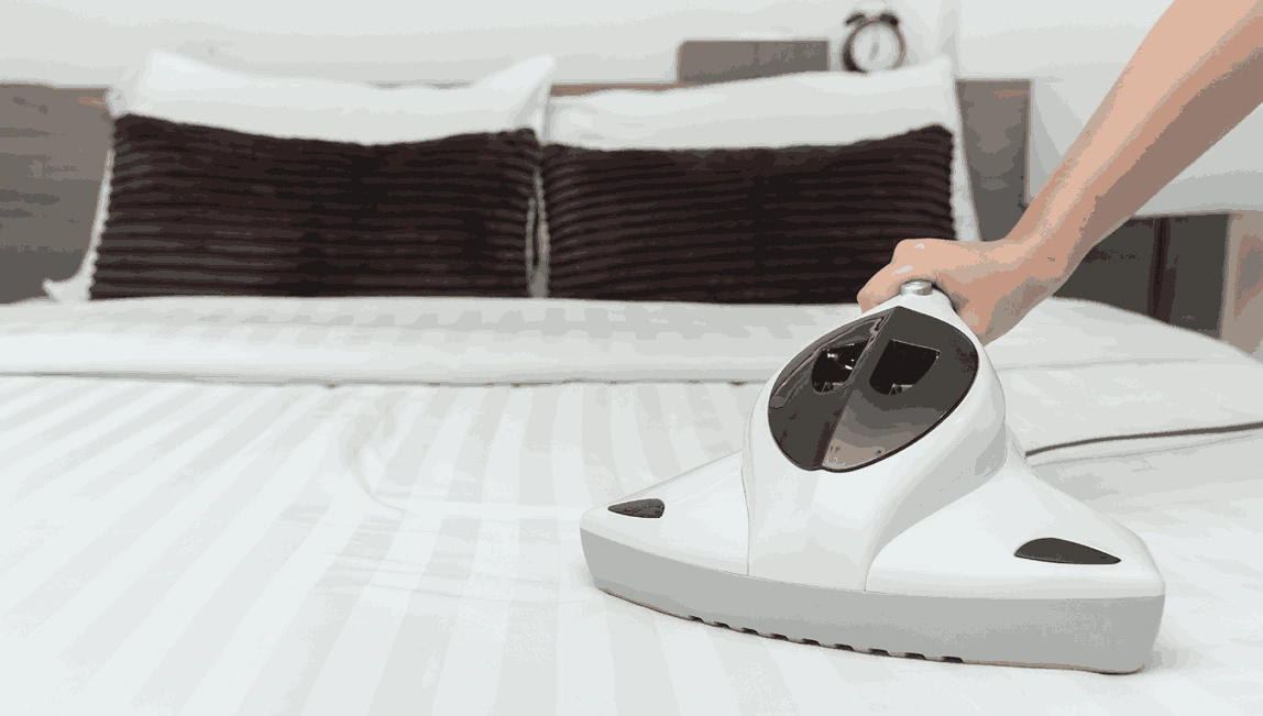 Professional Mattress Cleaning Mount Burnett